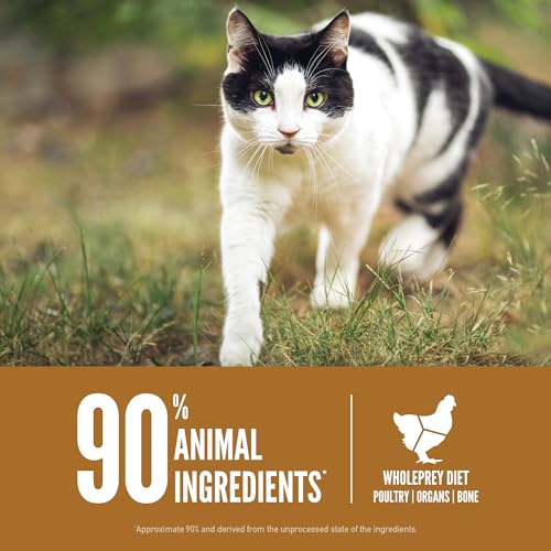ORIJEN Original Grain Free Cat Food, WholePrey, 4lb