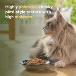 ZIWI Peak Canned Cat Food - Mackerel & Lamb Flavor