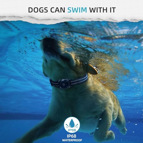 Cats GPS Tracker: Waterproof Pet Tracking Collar