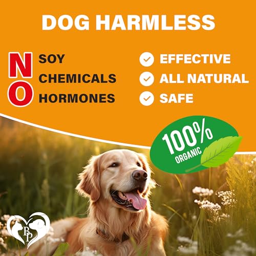 USA-Made Chewable Pills for Cats - Natural Flea Prevention