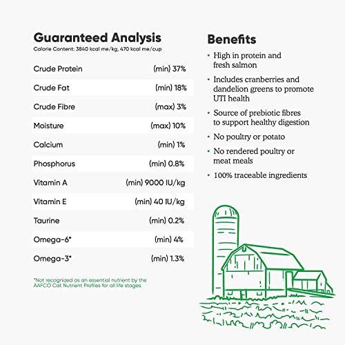 Wild-Caught Salmon Grain-Free Cat Food with Non-GMO Superfoods