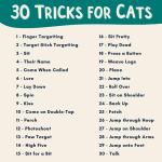 Bengal Click Crusade: Cat Training Card Game