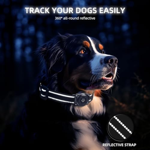Cats GPS Tracker: Waterproof Pet Tracking Collar