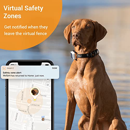 Pawfit 3s GPS Tracker for Cats