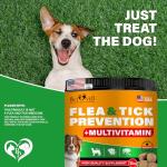 USA-Made Chewable Pills for Cats - Natural Flea Prevention
