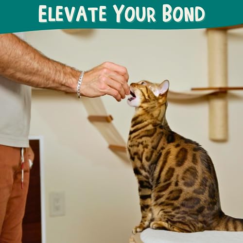 Cat Training Kit - Clicker, Target Stick, Treats