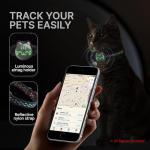 Luminous Fish Pattern Cat Collar with Hidden GPS Tracker