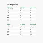 Wild-Caught Salmon Grain-Free Cat Food with Non-GMO Superfoods