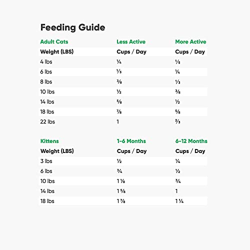 Wild-Caught Salmon Grain-Free Cat Food with Non-GMO Superfoods