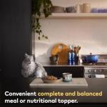 ZIWI Peak Canned Cat Food - Mackerel & Lamb Flavor