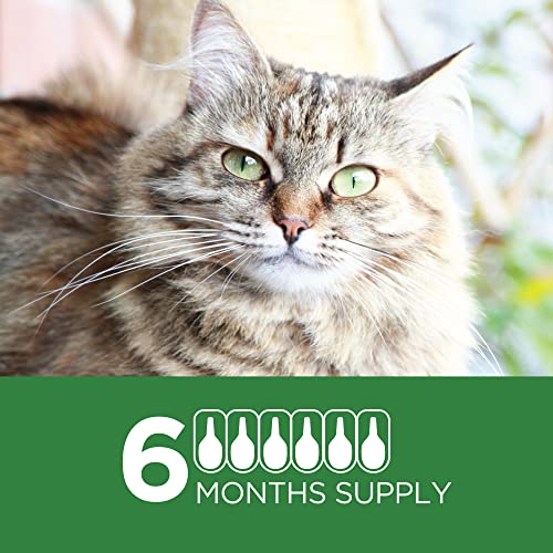 TevraPet Actispot II: Powerful Flea Control for Large Cats
