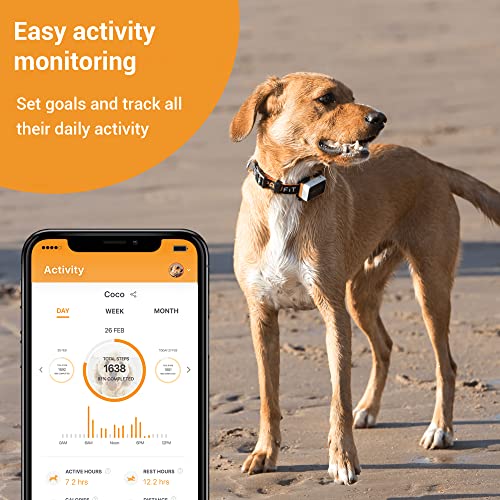 Pawfit 3s GPS Tracker for Cats
