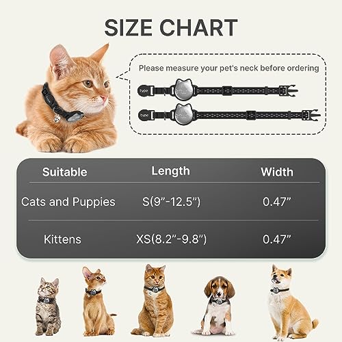 Luminous Fish Pattern Cat Collar with Hidden GPS Tracker