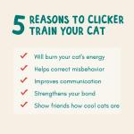 Cat Training Kit - Clicker, Target Stick, Treats