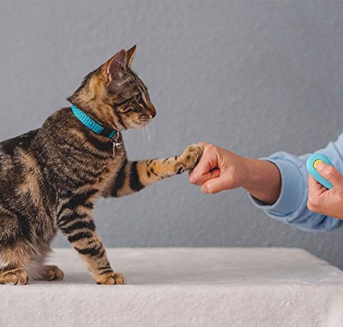 Cat Training Clicker and Target Stick Set