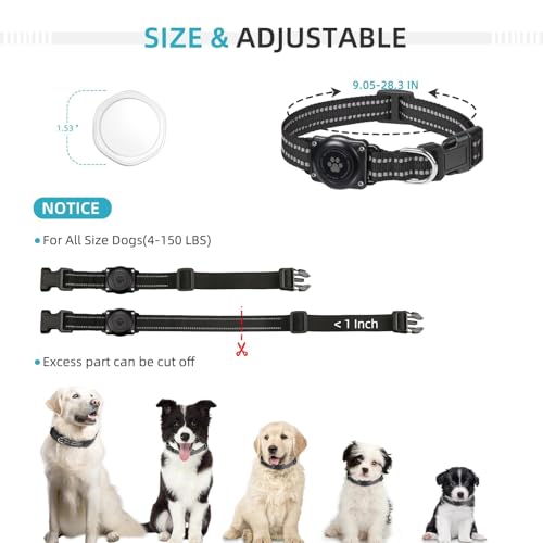 Cats GPS Tracker: Waterproof Pet Tracking Collar