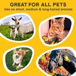 Cat Deshedding Gloves - Effective Hair Remover