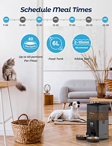 Voluas Double Pet Feeder: Timed Cat Feeder, 6L