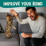 Bengal Click Crusade: Cat Training Card Game