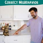 Cat Training Kit - Clicker, Target Stick, Treats