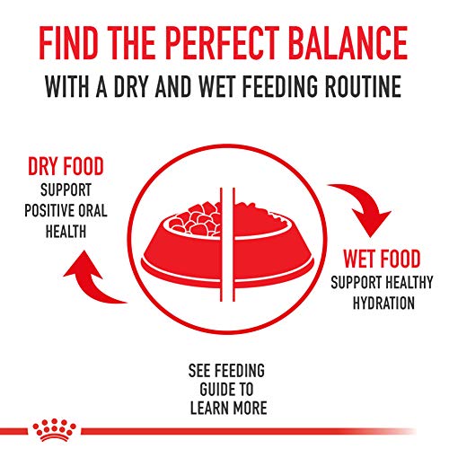 24-count Royal Canin Thin Slices Canned Cat Food