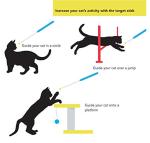 Cat Training Clicker and Target Stick Set