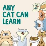 Cat Training Kit - Clicker, Target Stick, Treats