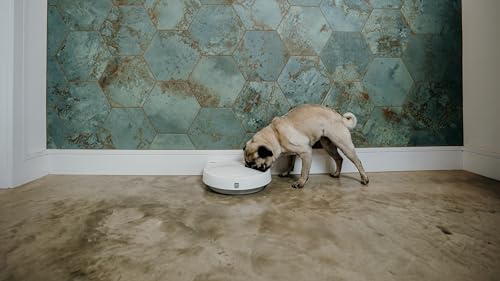 Cat Mate C300 Automatic Pet Feeder for Cats