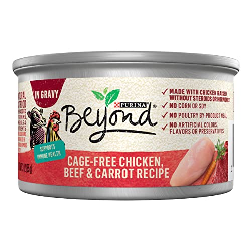 Cage-Free Chicken, Beef & Carrot Wet Cat Food - 3 oz