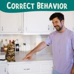 Bengal Click Crusade: Cat Training Card Game