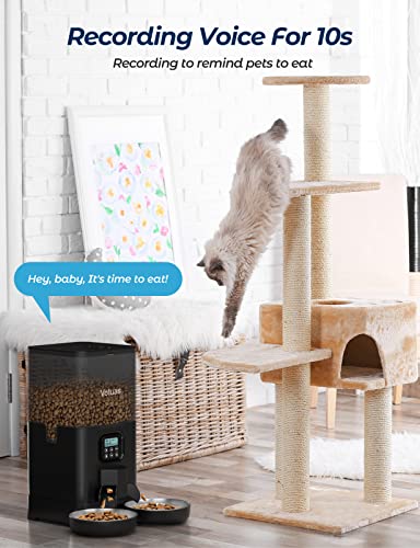 Voluas Double Pet Feeder: Timed Cat Feeder, 6L