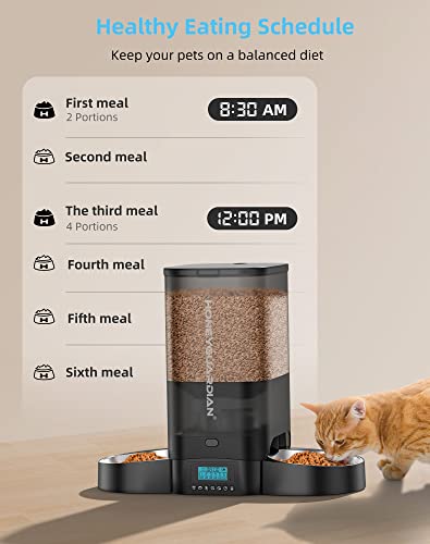 HoneyGuaridan Automatic Cat Feeder with Dual Power Supply