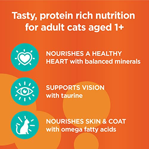 IAMS Healthy Adult Grain Free Wet Cat Food Variety Pack