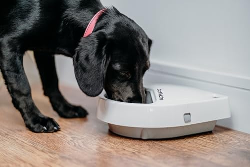 Cat Mate C300 Automatic Pet Feeder for Cats