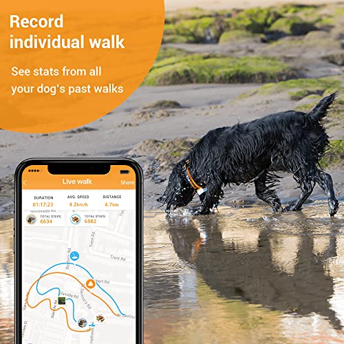 Pawfit 3s GPS Tracker for Cats