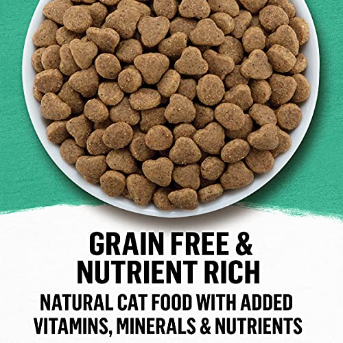 Purina Beyond Grain Free Wild Whitefish & Egg - 3 lb