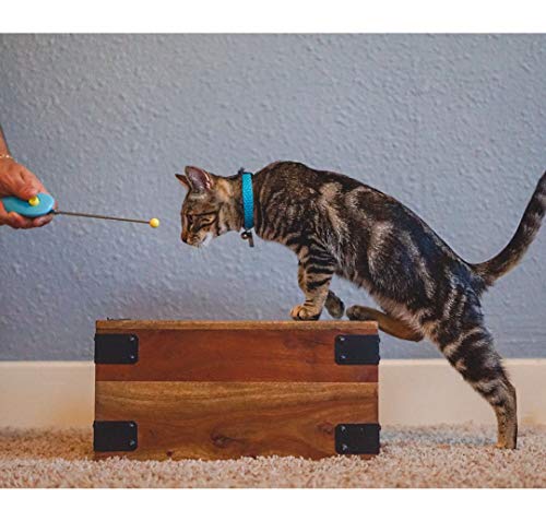 Cat Training Clicker and Target Stick Set