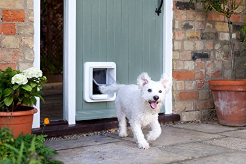 SureFlap microchip cat door