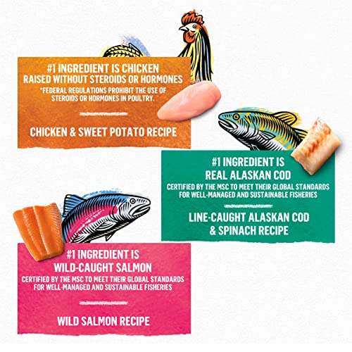 Purina Beyond Grain-Free Pate Cat Food Variety Pack