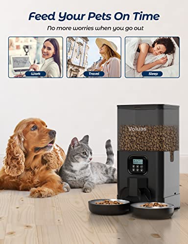 Voluas Double Pet Feeder: Timed Cat Feeder, 6L