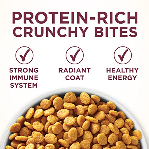 Purina ONE Cat Food, High Protein +Urinary Tract Health 7lb
