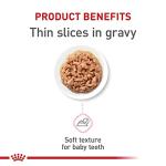 Royal Canin Kitten Gravy Cat Food, 3 oz (24 cans)
