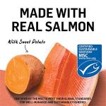 Grain Free Salmon & Sweet Potato Cat Food - (12) 3 oz. Cans