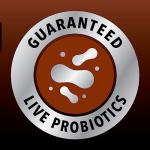 IAMS Salmon & Chicken Adult Dry Cat Food - 7lb