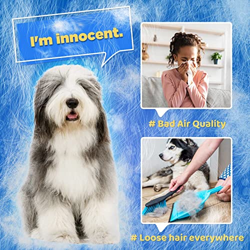 Gentle Pet Grooming Glove for Cats - Blue