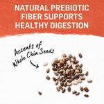 Beyond Natural Cat Food Complement | Digestive Support