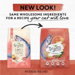 Purina Beyond Simply Salmon Cat Food - 6 lb. Bag