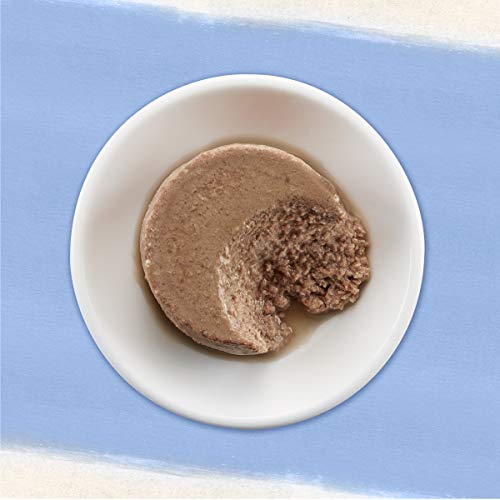 Purina Beyond Grain Free Trout & Catfish Pate