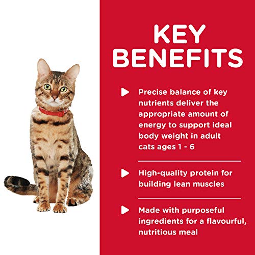 Hill's Science Diet Healthy Cuisine Roasted Chicken Cat Food - 24 Pack