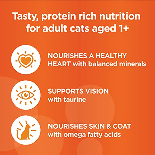 IAMS Grain Free Wet Cat Food, Chicken Recipe, (Pack of 24)